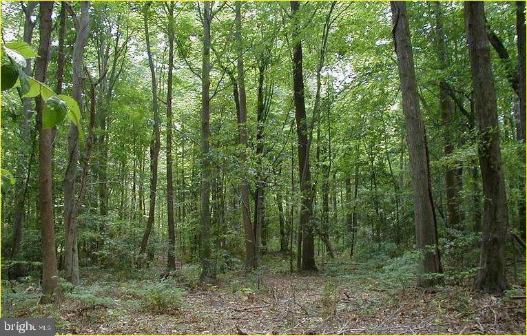 12605 Cedarville Rd Property Photo 7