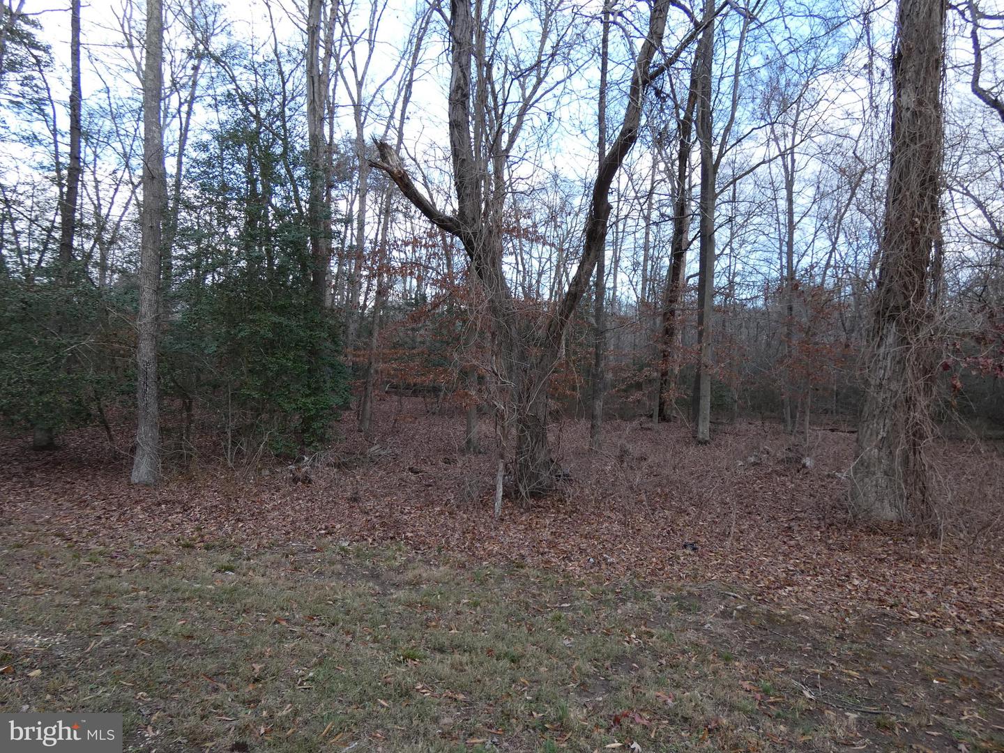 1830 Accokeek Rd W Property Photo 29