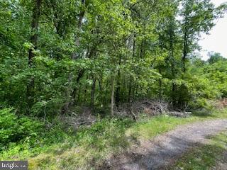 12943 Fletchertown Rd Property Photo 1