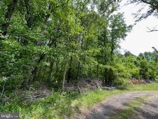 12943 Fletchertown Rd Property Photo 2