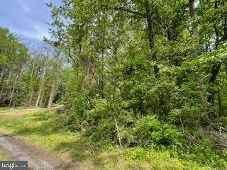 12943 Fletchertown Rd Property Photo 3