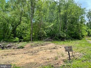 12943 Fletchertown Rd Property Photo 4