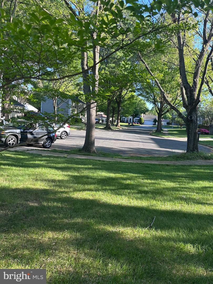 15806 Appleton Ter Property Photo 6