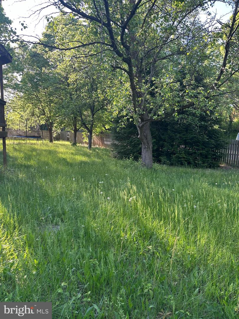 15806 Appleton Ter Property Photo 44