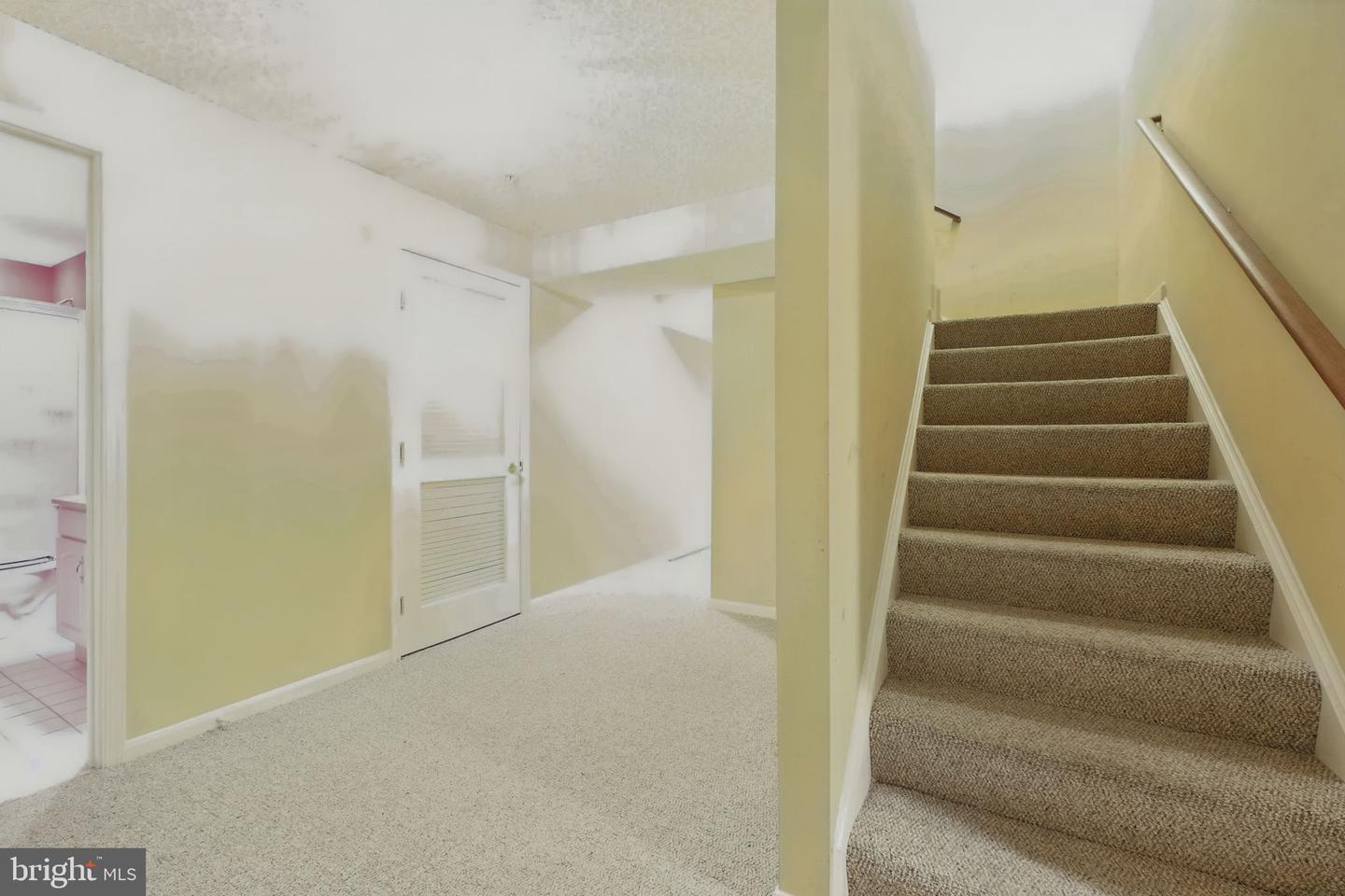 7901 Webster Ln Property Photo 52