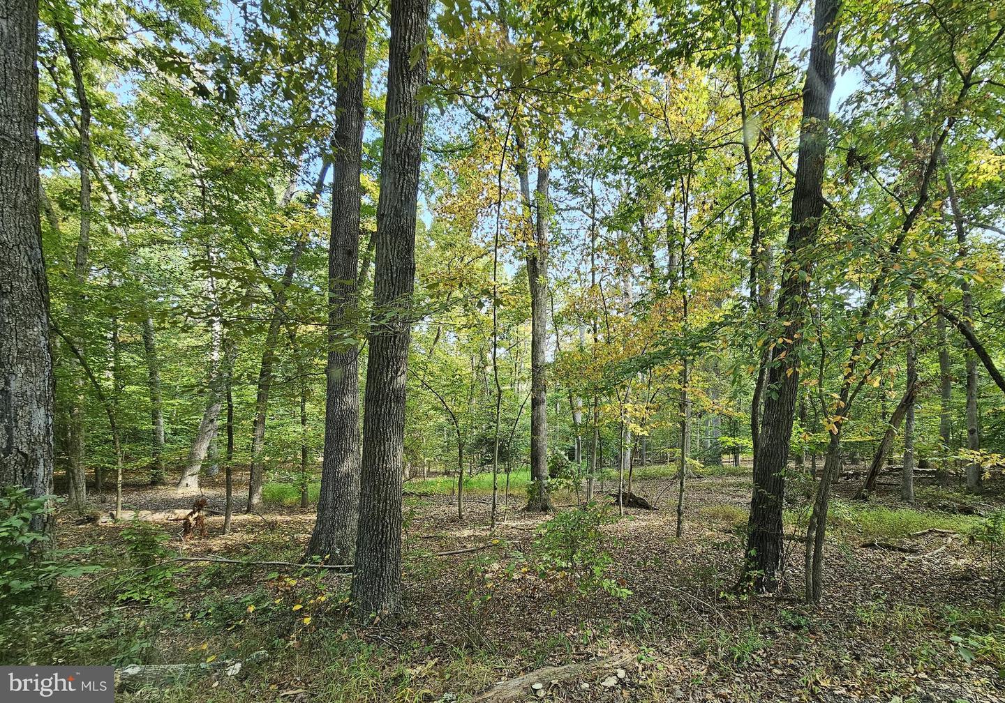 1160 Apple Valley Rd Property Photo 3