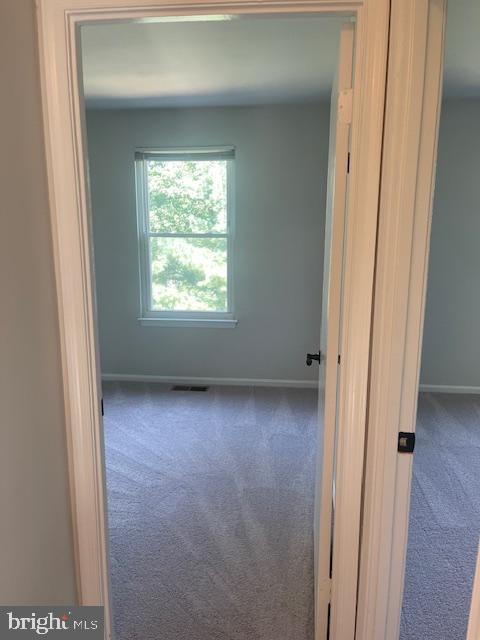 6918 Scotch Dr Property Photo 20