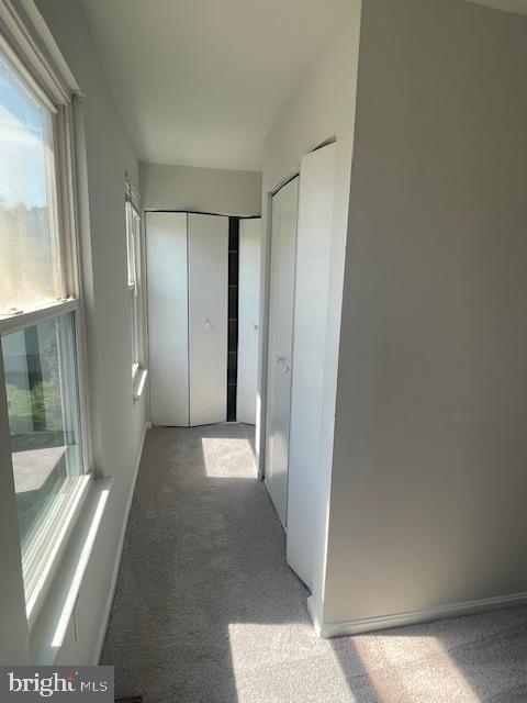6918 Scotch Dr Property Photo 32