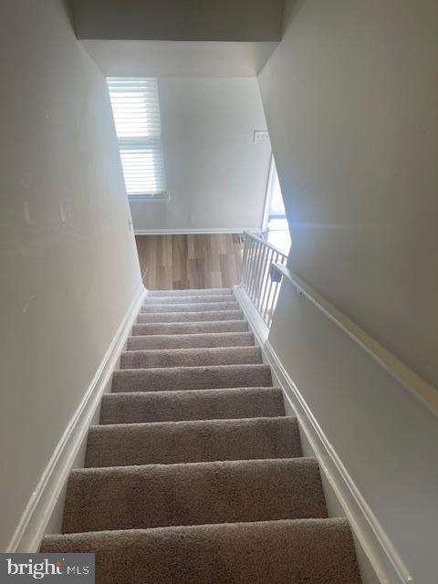 6918 Scotch Dr Property Photo 37