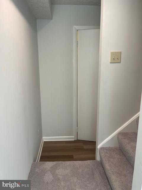 6918 Scotch Dr Property Photo 40