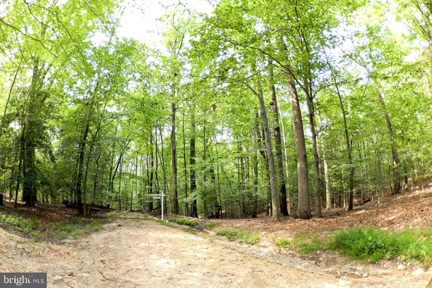 LAUREL DR Property Photo 1