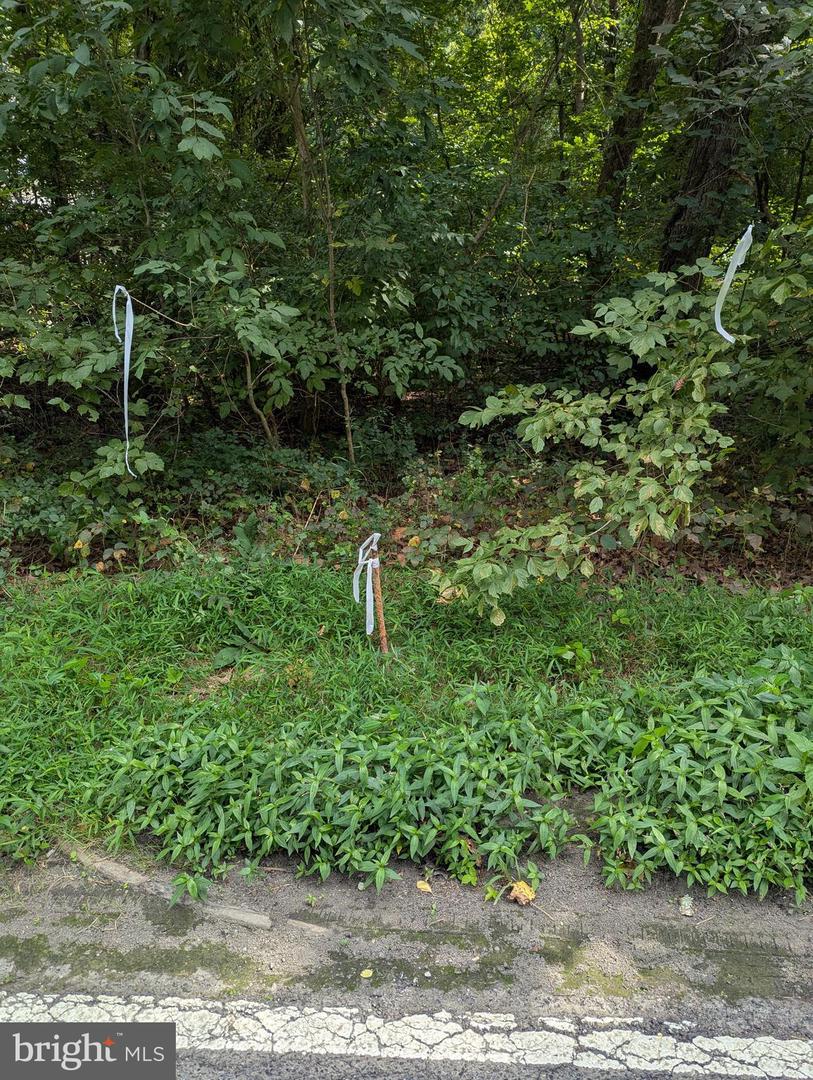 Approximately 3671 Floral Park Rd Property Photo 1