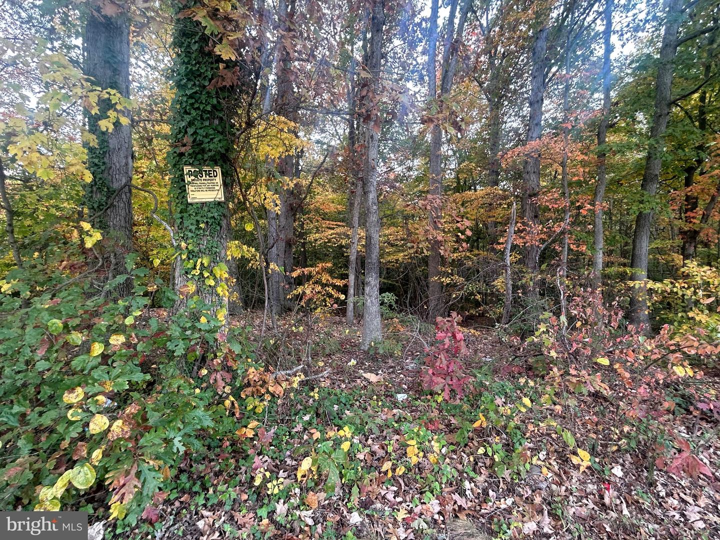 Bock Rd Property Photo 1