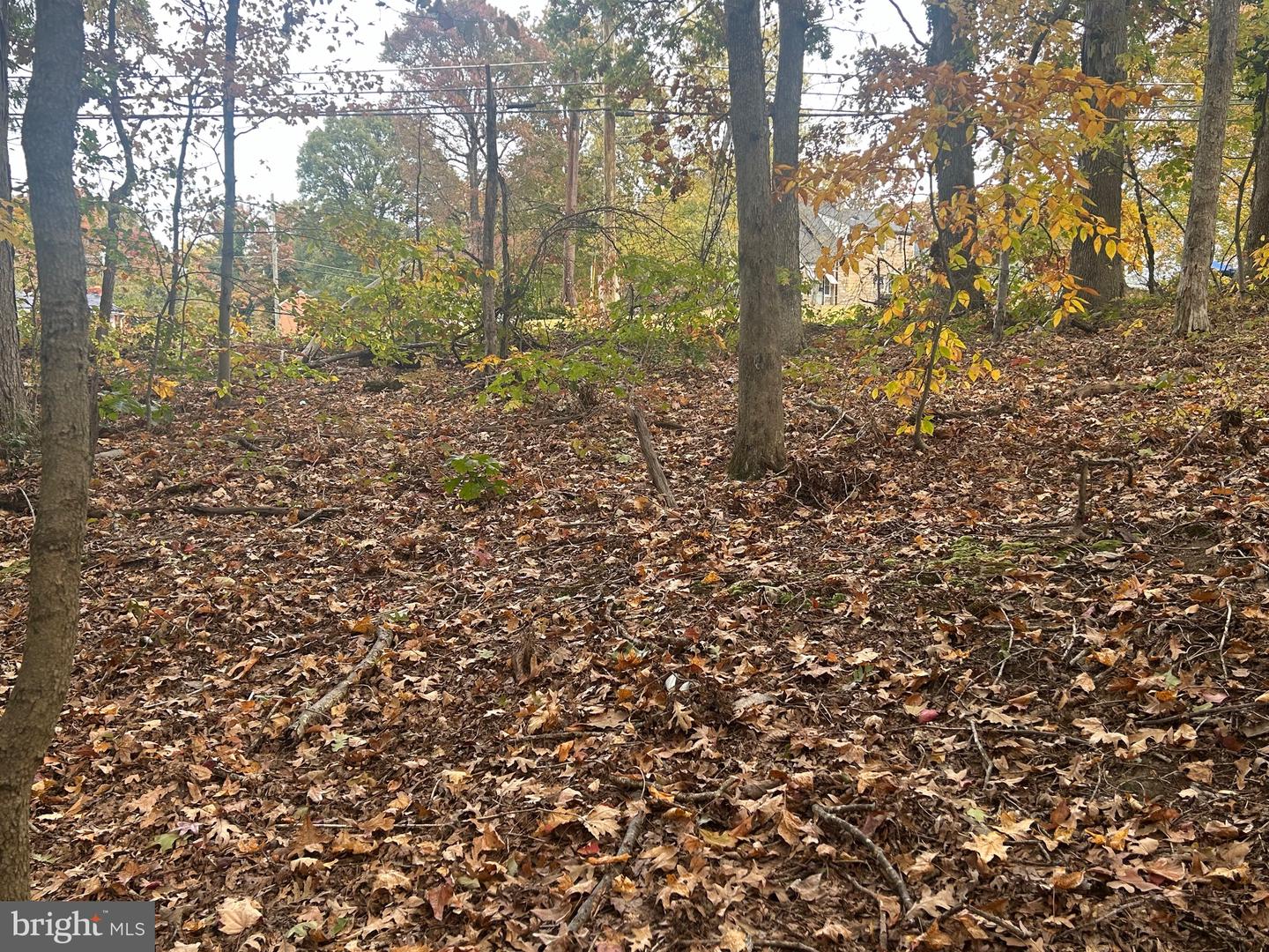 Bock Rd Property Photo 5
