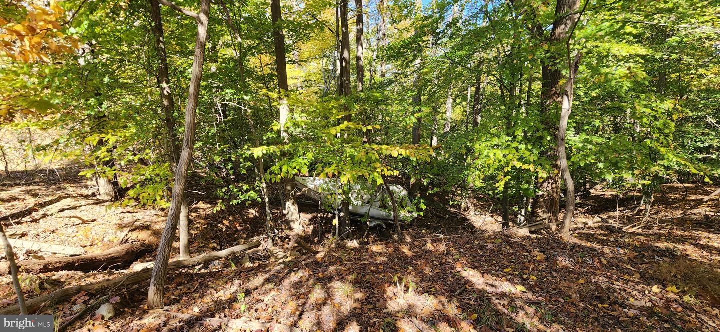 2602 John A Thompson Rd Property Photo 4
