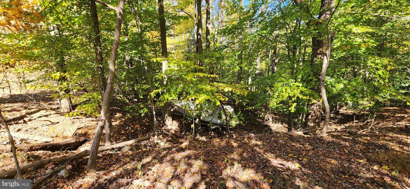 2600 John A Thompson Rd Property Photo 7