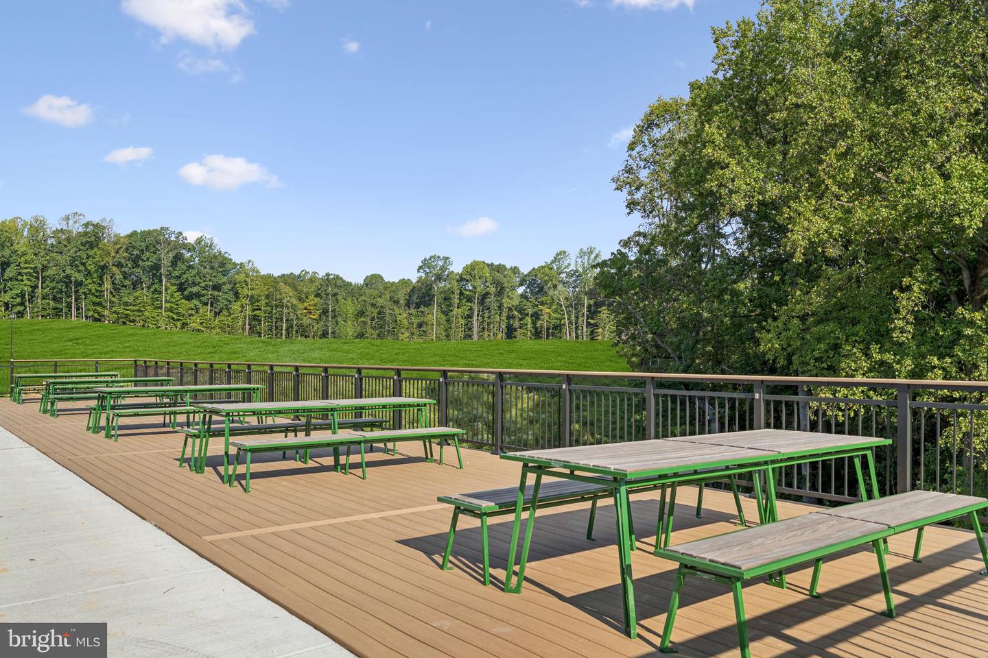 10927 Reunion Ln Property Photo 28