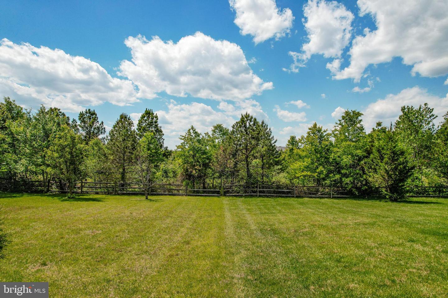 13400 Oaklands Manor Dr Property Photo 44