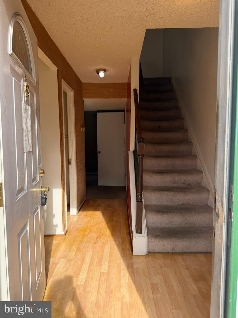 7047 Palamar Turn Property Photo 2