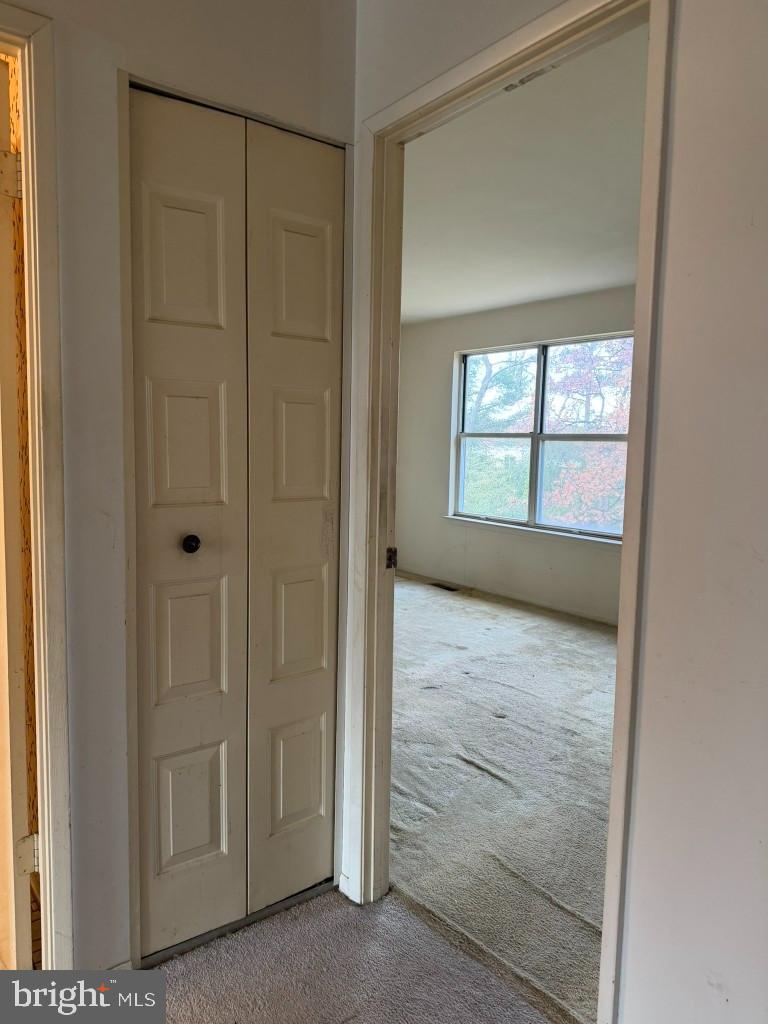 7047 Palamar Turn Property Photo 10
