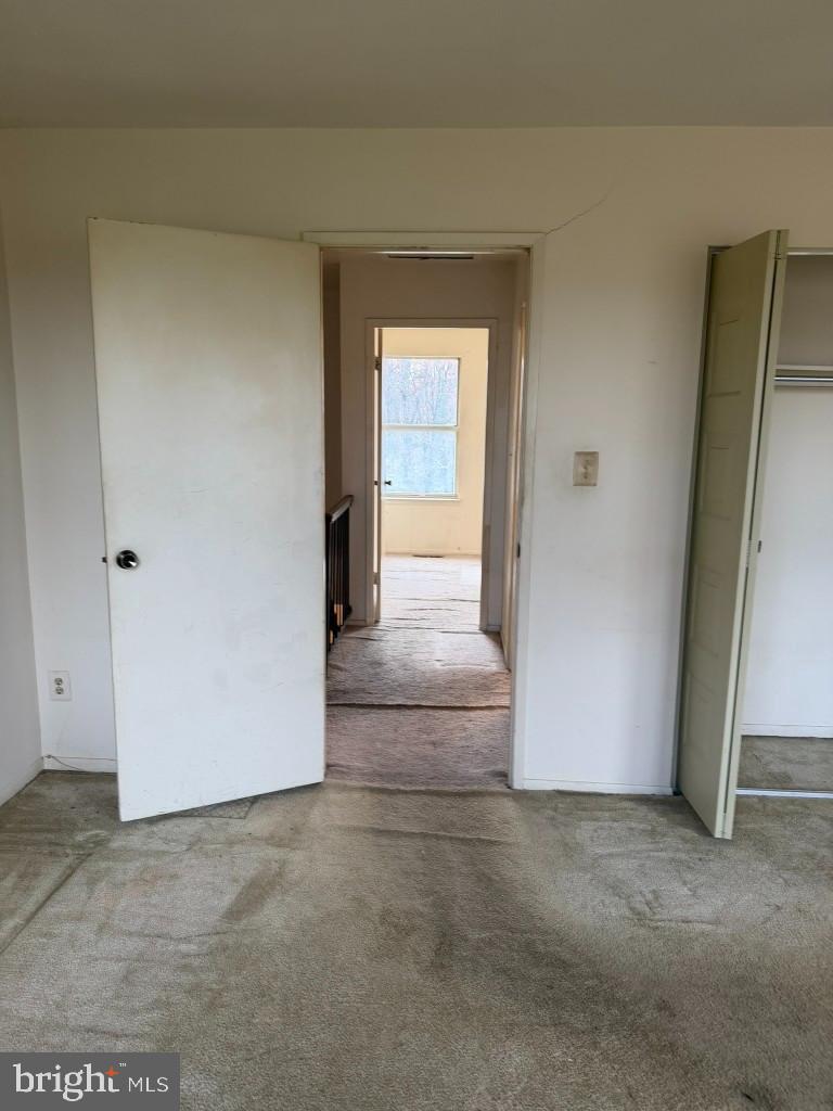 7047 Palamar Turn Property Photo 13