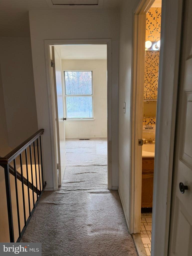 7047 Palamar Turn Property Photo 14