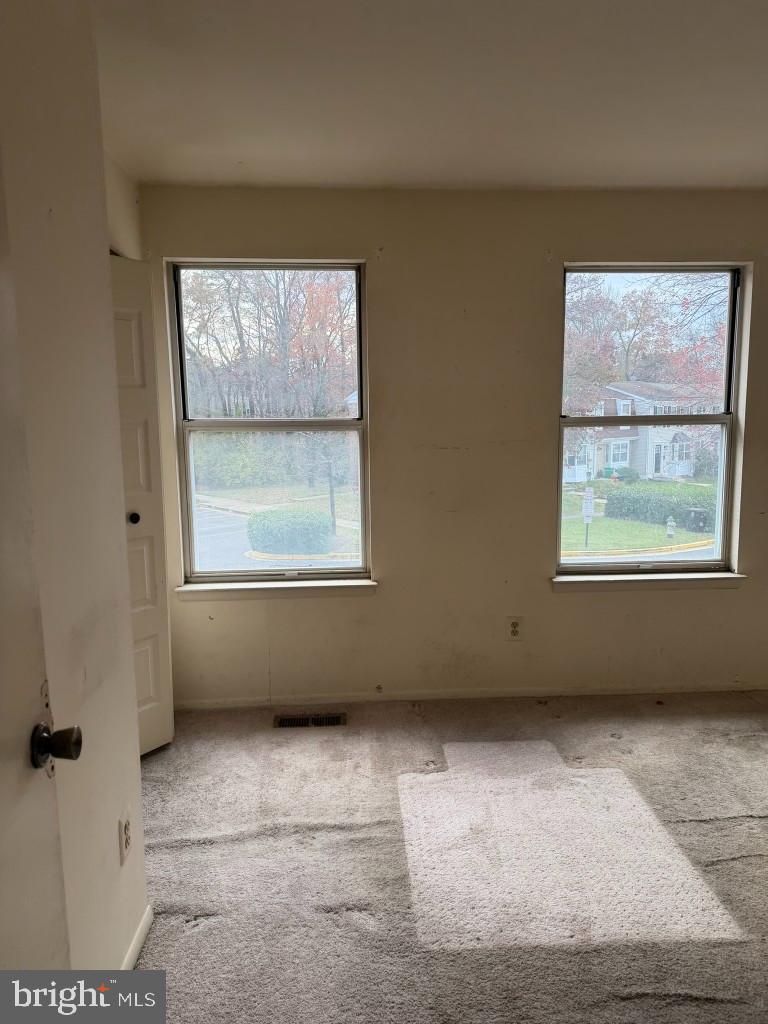 7047 Palamar Turn Property Photo 16