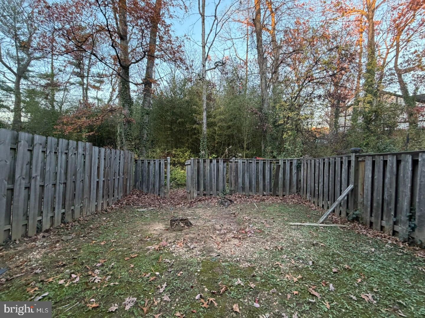 7047 Palamar Turn Property Photo 28