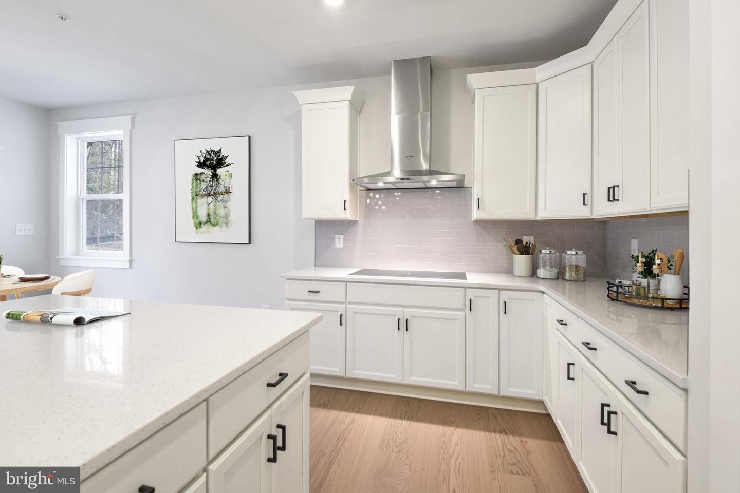 Eliana Court - Chesapeake Model Property Photo 7