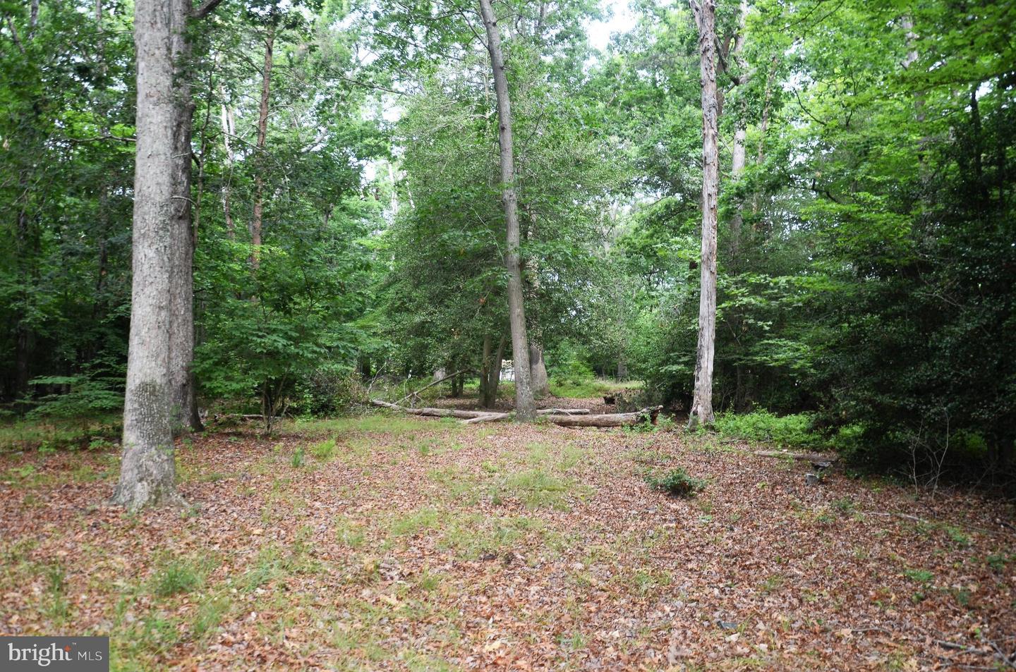 16106 BEALLE HILL RD Property Photo 1
