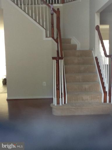 6303 Soueid St Property Photo 4