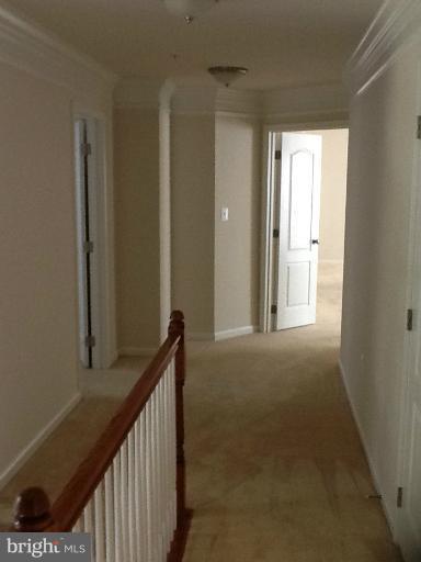 6303 Soueid St Property Photo 16