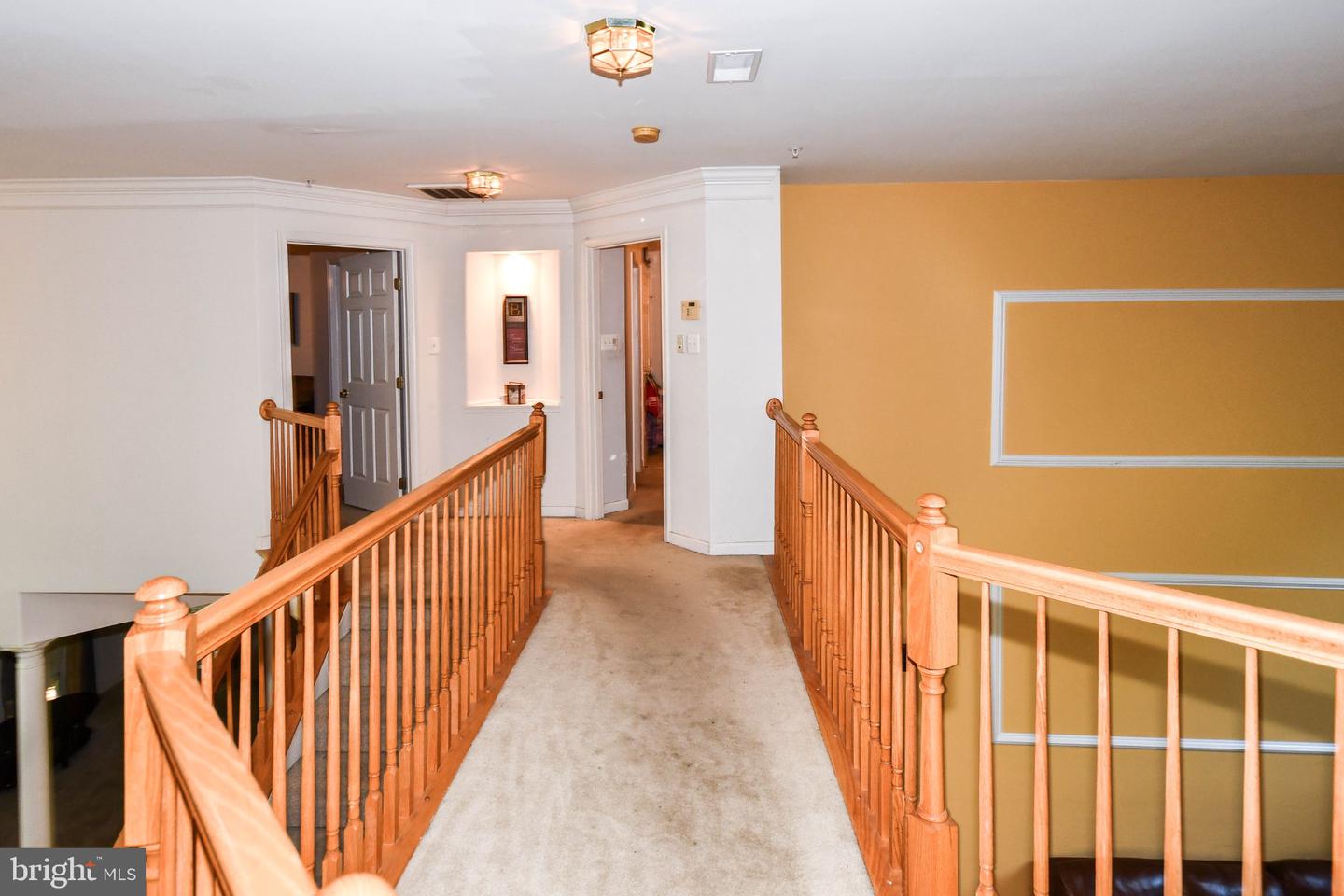 3208 Clavier Pl Property Photo 53