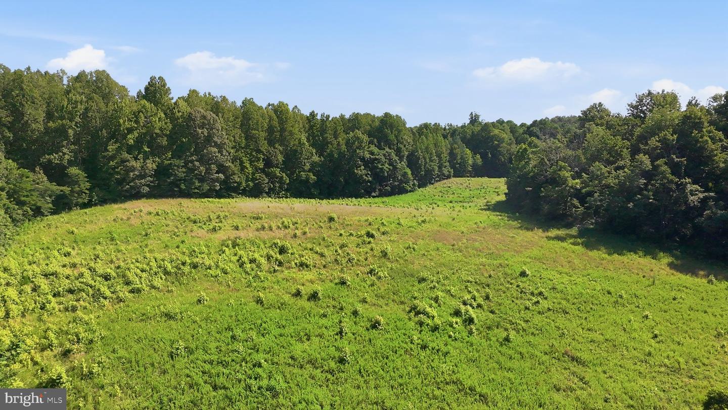 13729 Martin Rd Property Photo 6