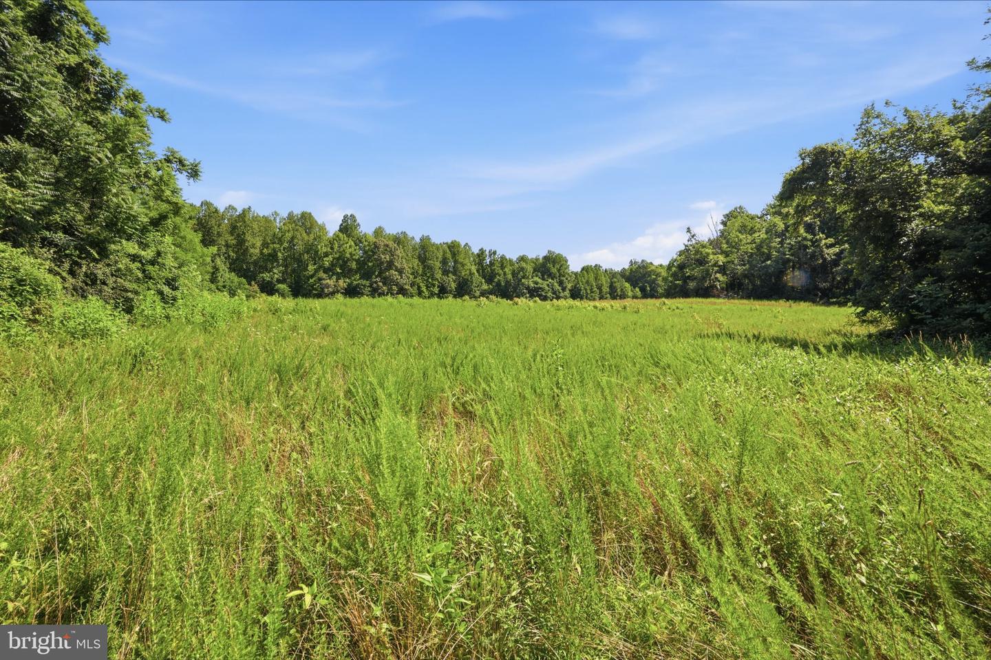 13729 Martin Rd Property Photo 7