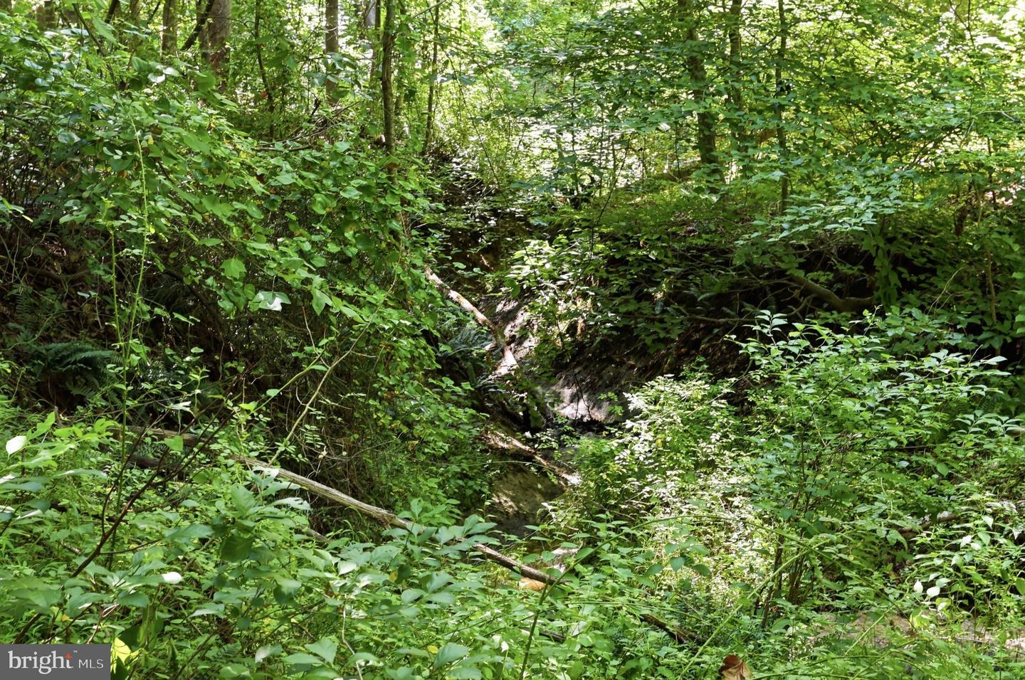 13729 Martin Rd Property Photo 8