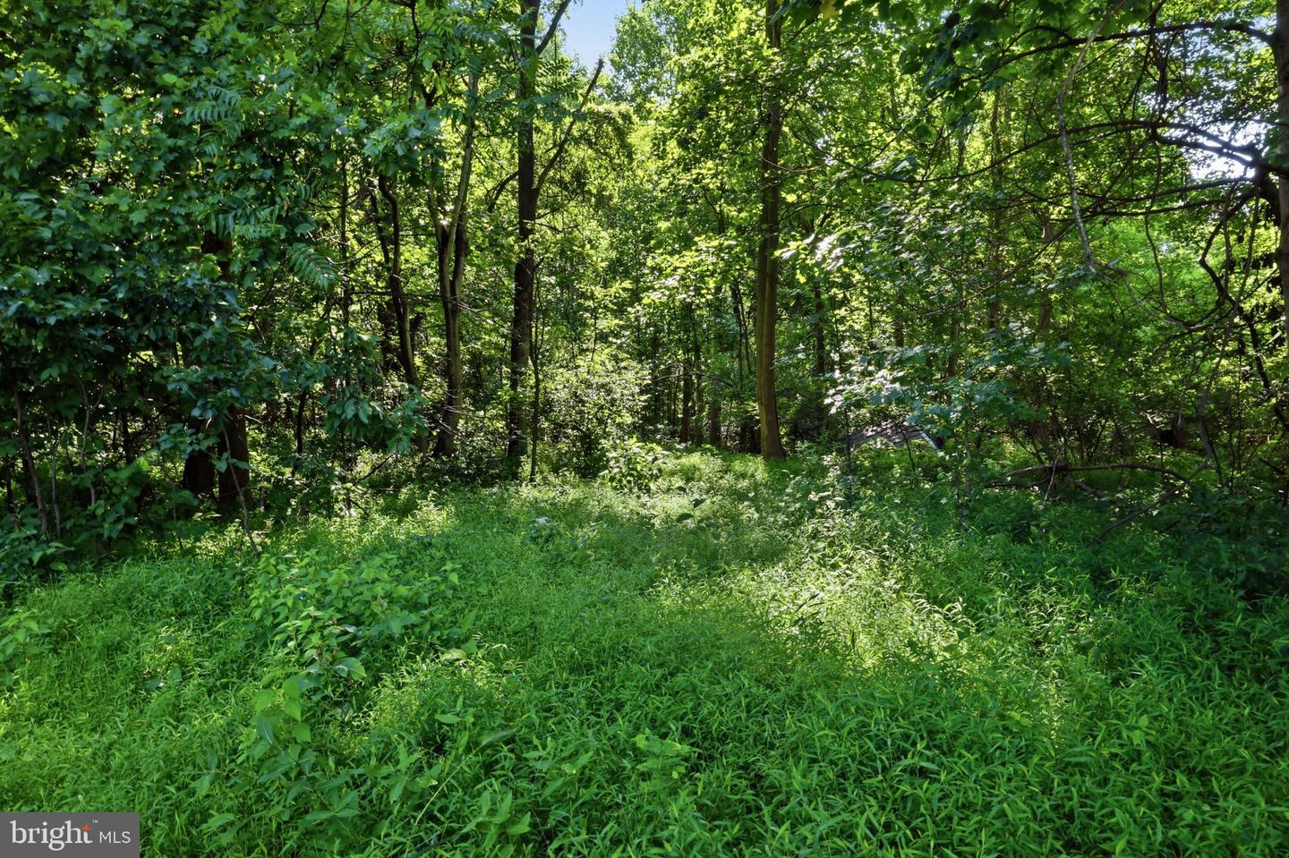 13729 Martin Rd Property Photo 9