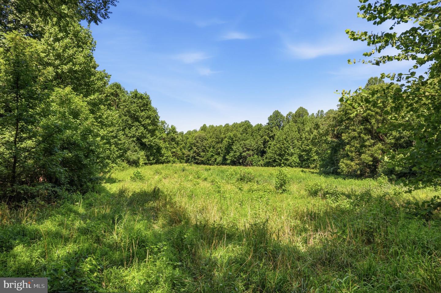 13729 Martin Rd Property Photo 10