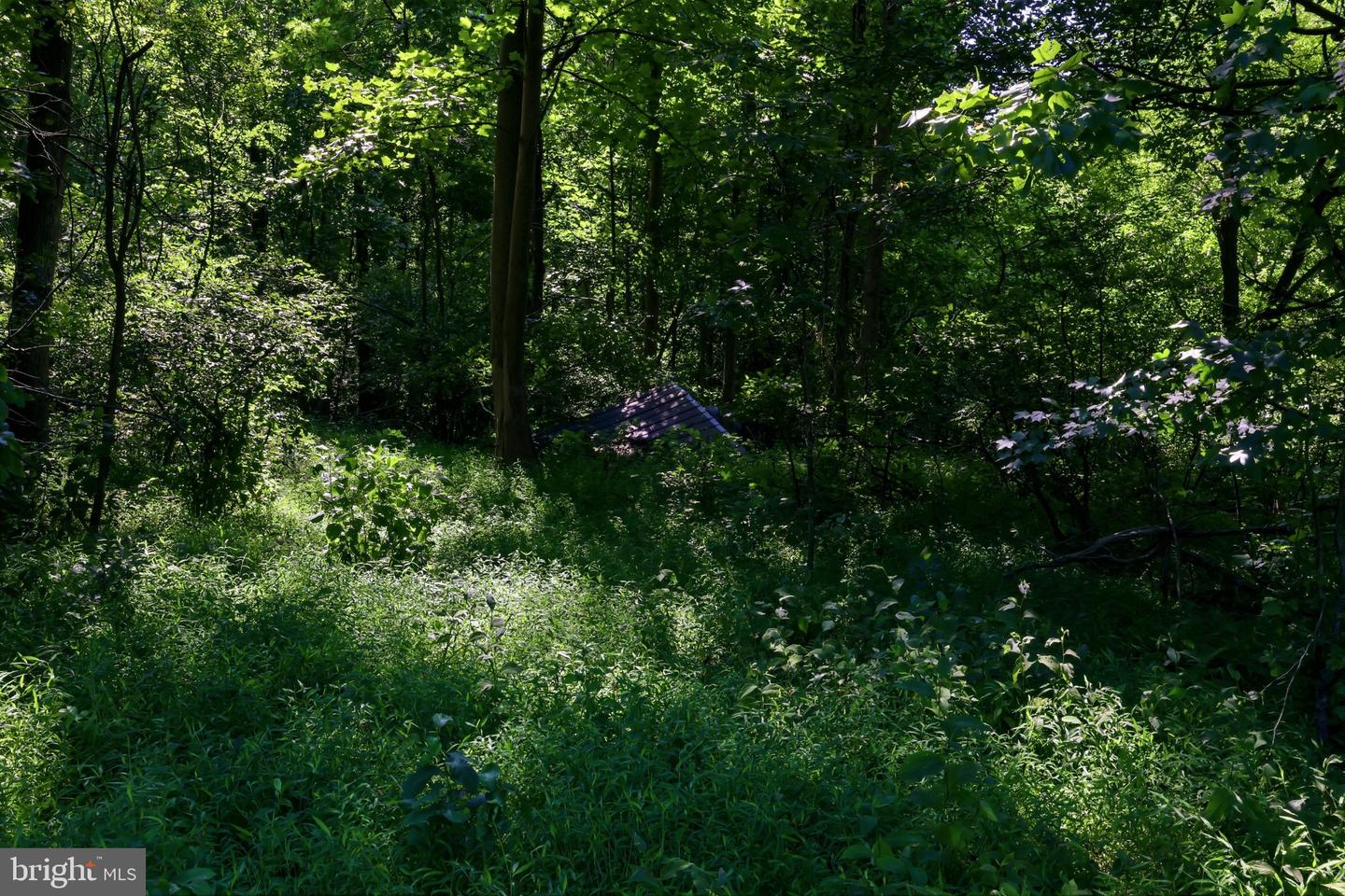 13729 Martin Rd Property Photo 13
