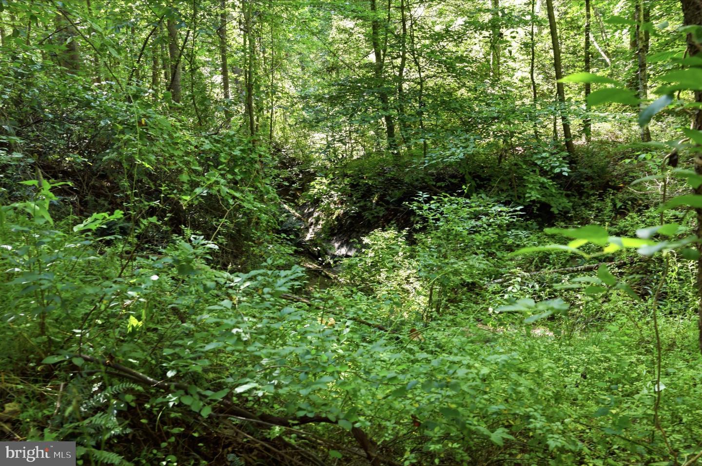 13729 Martin Rd Property Photo 14