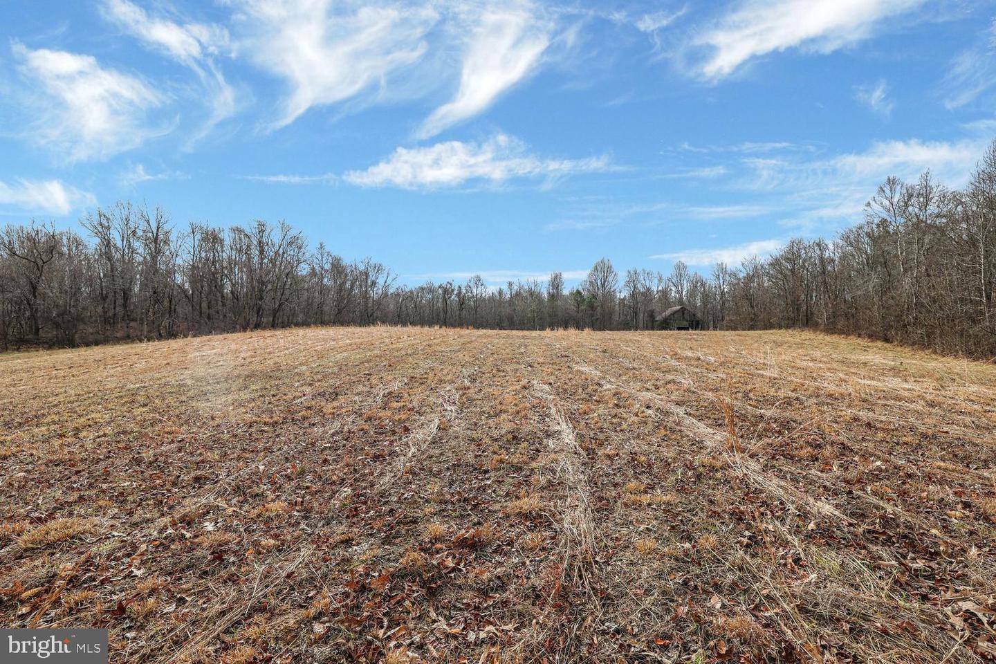 13729 Martin Rd Property Photo 17