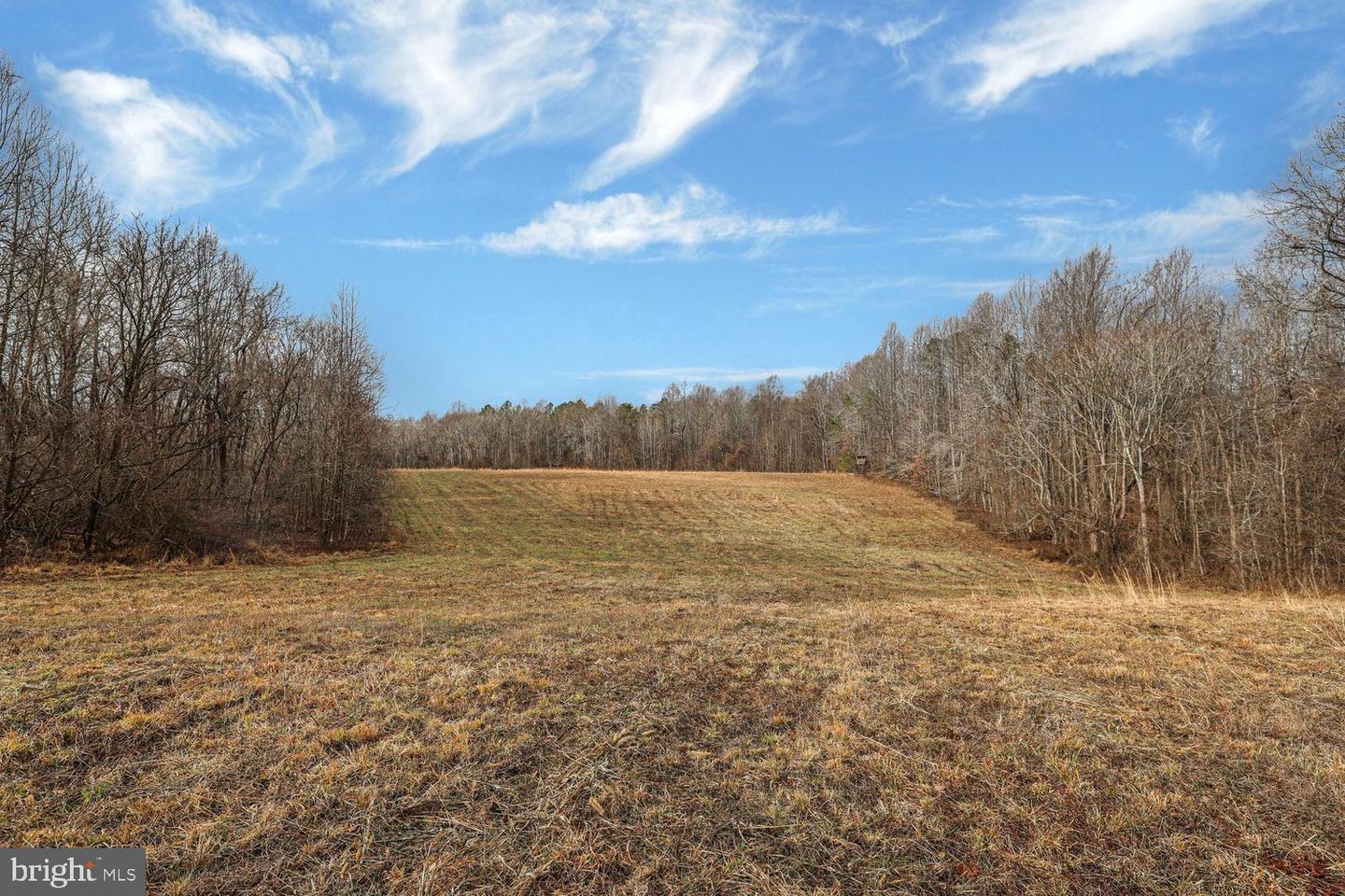 13729 Martin Rd Property Photo 18