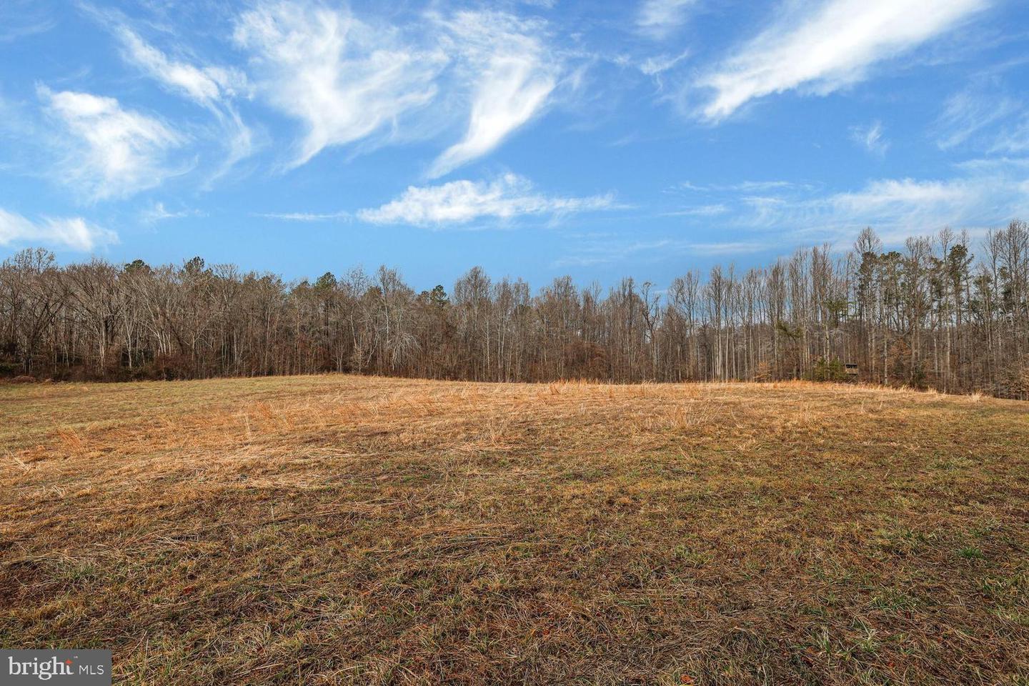 13729 Martin Rd Property Photo 19