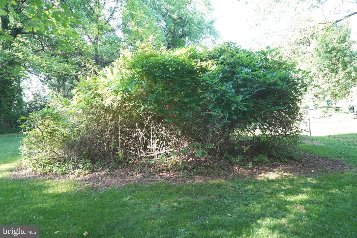 Greenbelt Rd Property Photo 22