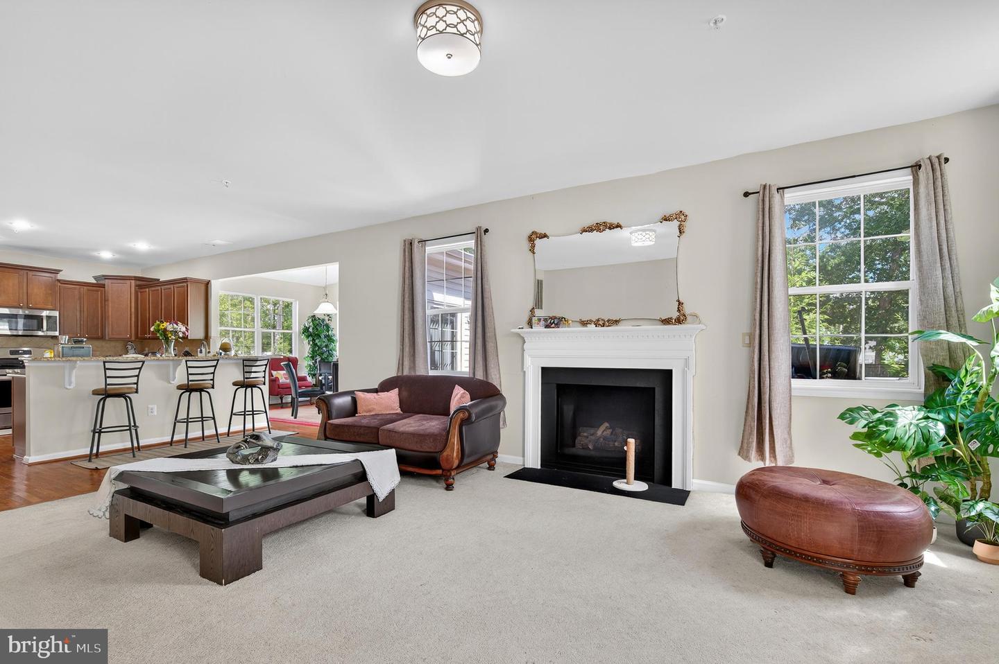 17108 Madrillon Way Property Photo 11