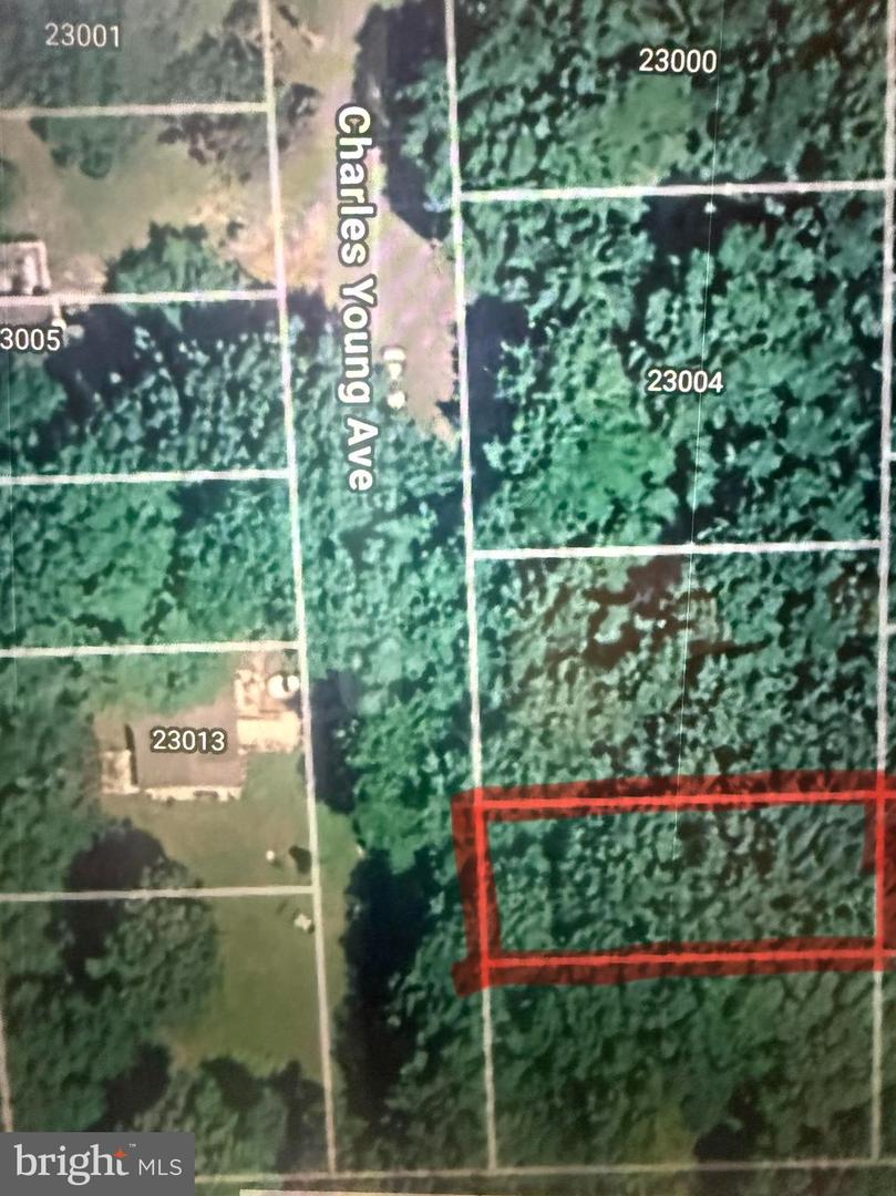Charles Young Ave Property Photo 1
