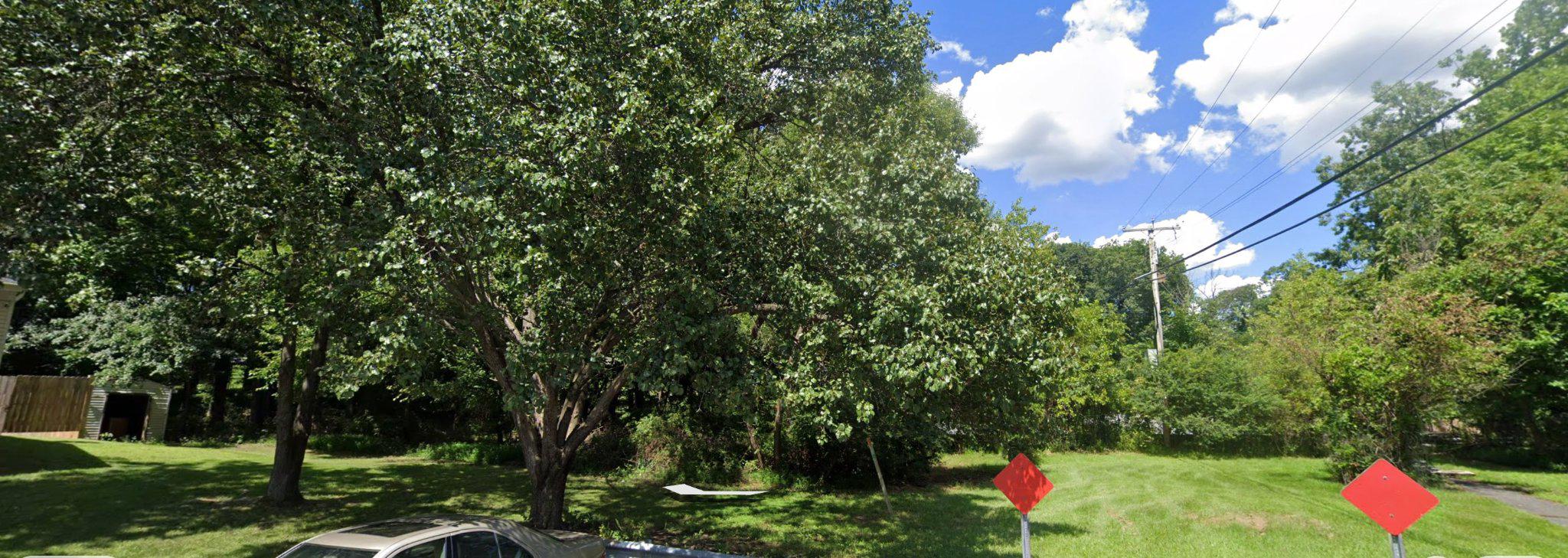 Larchdale Rd Property Photo 3