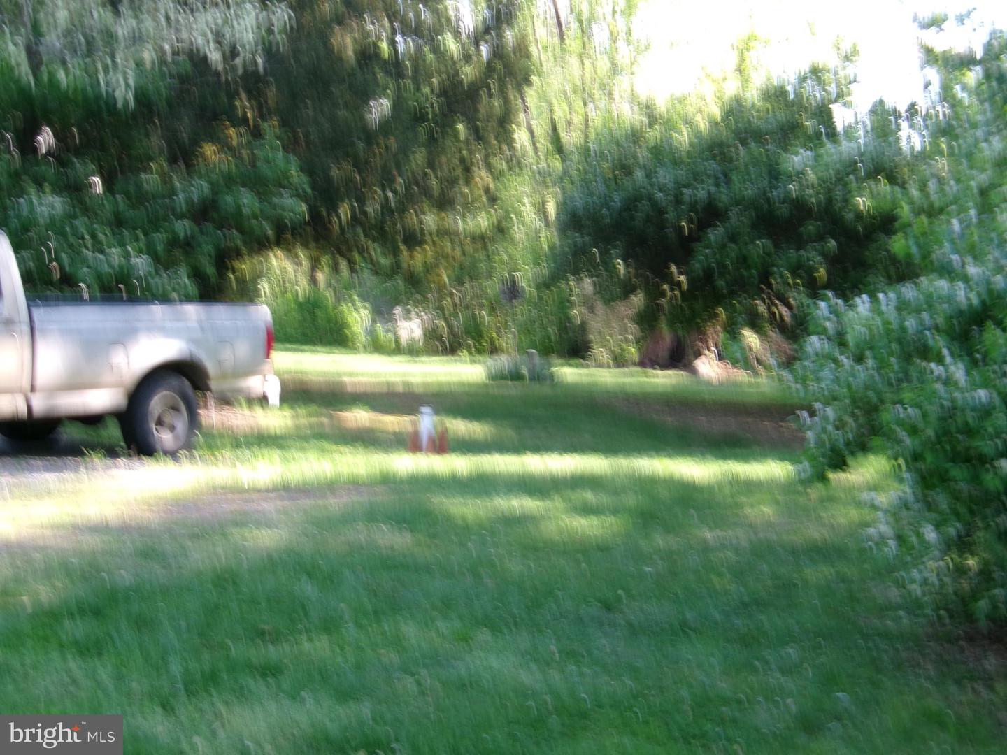 11723 Chilcoate Ln Property Photo 6