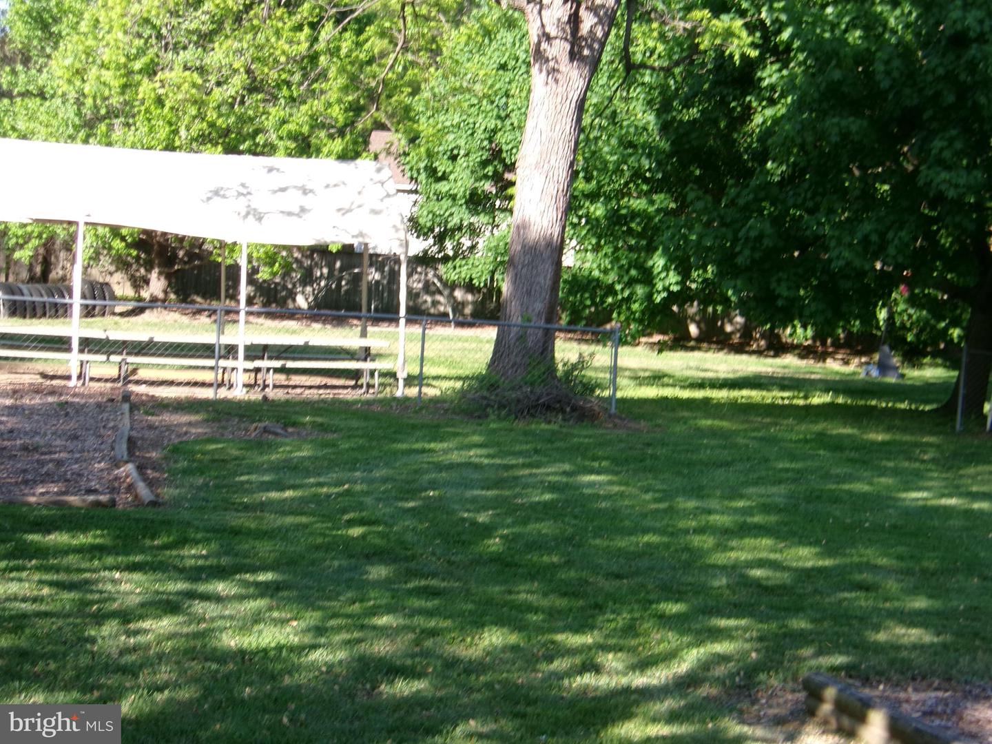 11723 Chilcoate Ln Property Photo 9