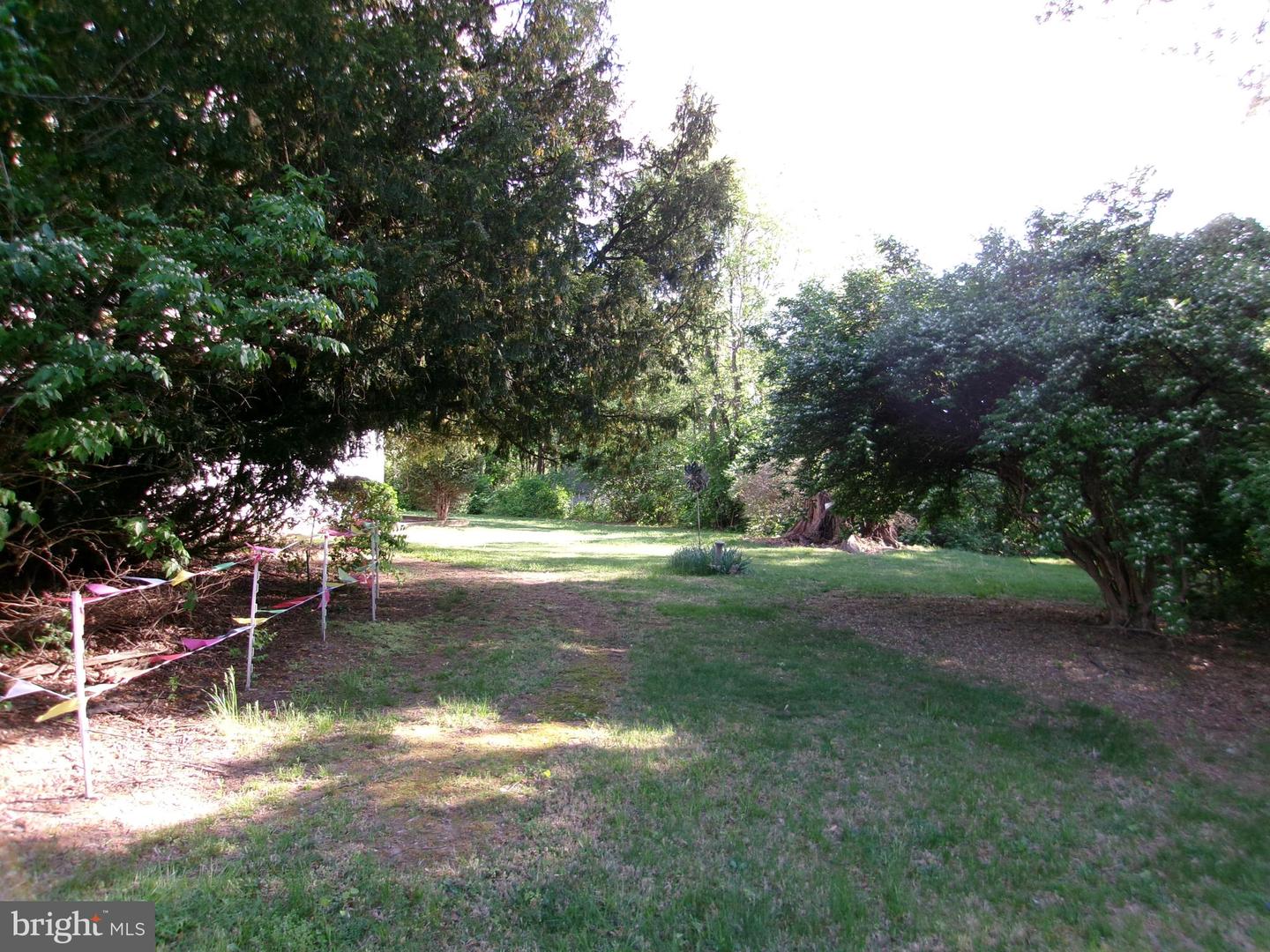 11723 Chilcoate Ln Property Photo 17